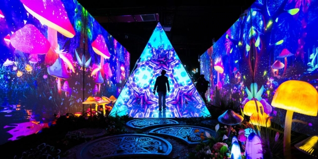 X space Immersive - Immersive Space Royal