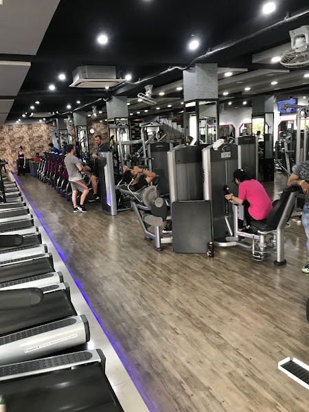 Dung's Gym
